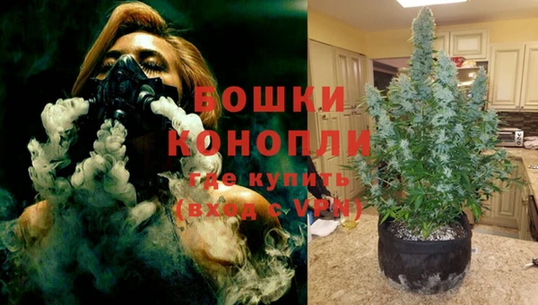 ГАЛЛЮЦИНОГЕННЫЕ ГРИБЫ Пестово