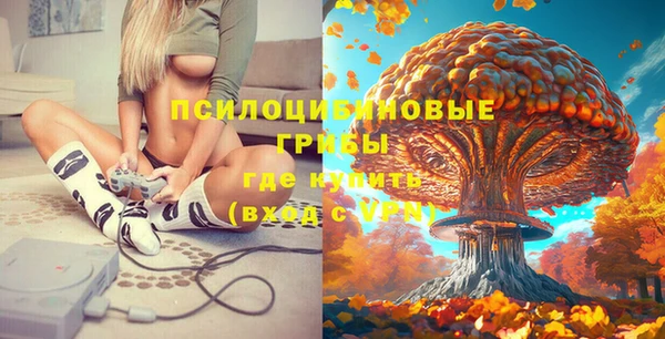 ГАЛЛЮЦИНОГЕННЫЕ ГРИБЫ Пестово