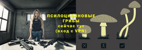 прущий лед Осинники