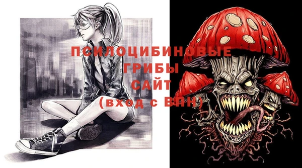 бошки Переславль-Залесский