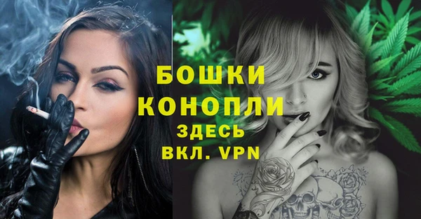 дурь Осташков
