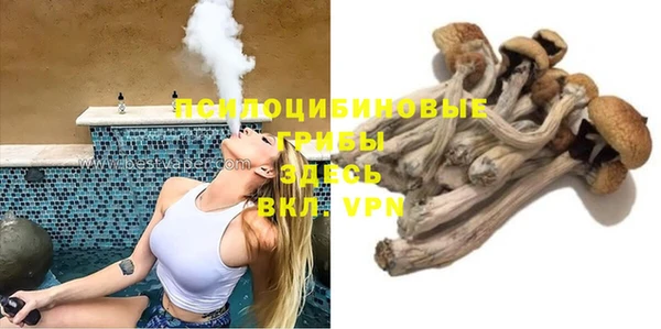 дурь Осташков