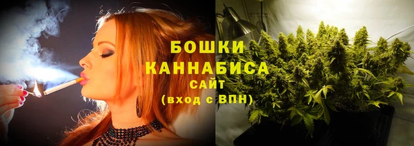 дурь Осташков