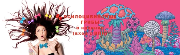 прущий лед Осинники