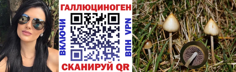 OMG вход Сортавала Псилоцибиновые грибы Psilocybe